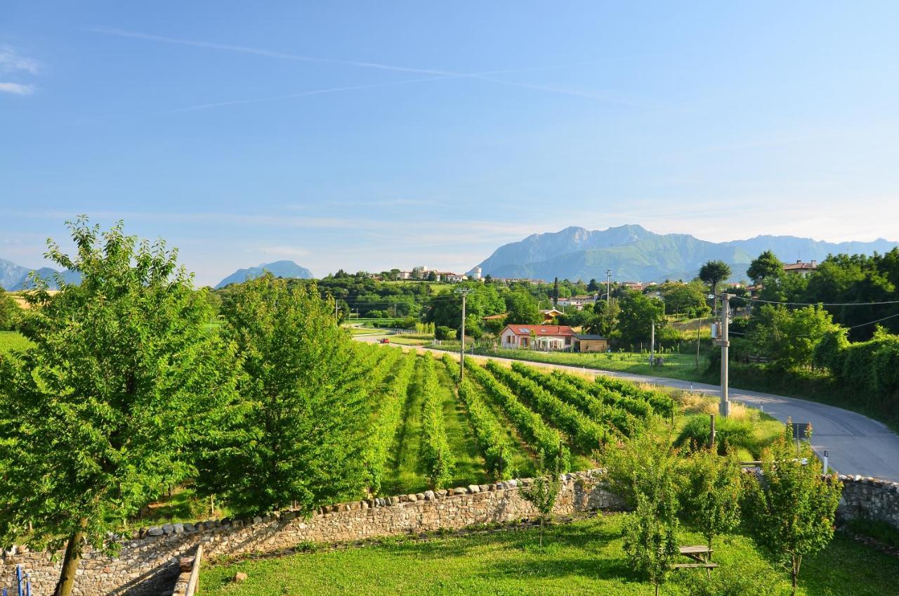 Agriturismo Borgo Floreani Vendoglio Exterior foto